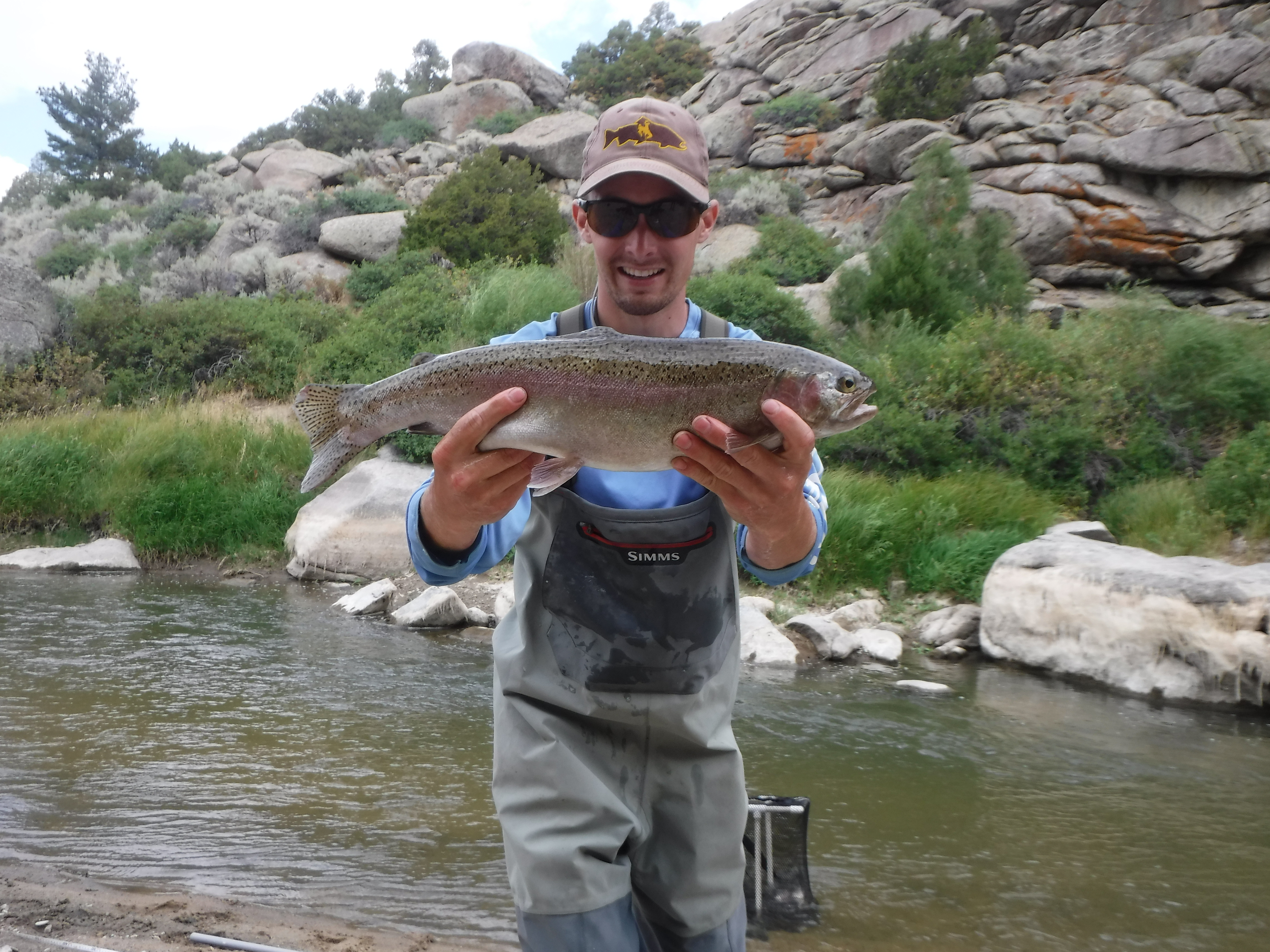 Sweetwater River Rainbow Trout
