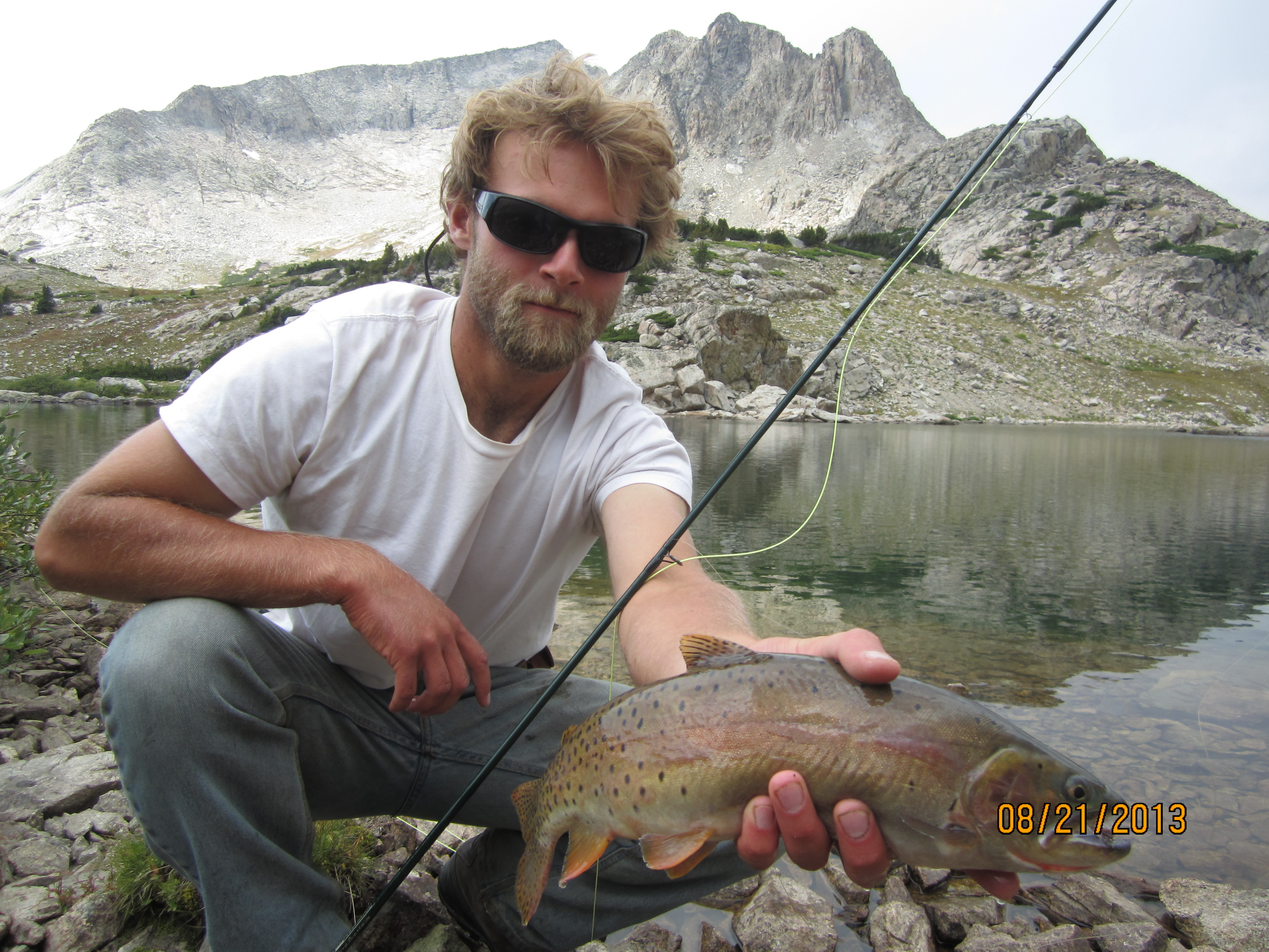 Cutthroat trout, Wind River Mountains, WY