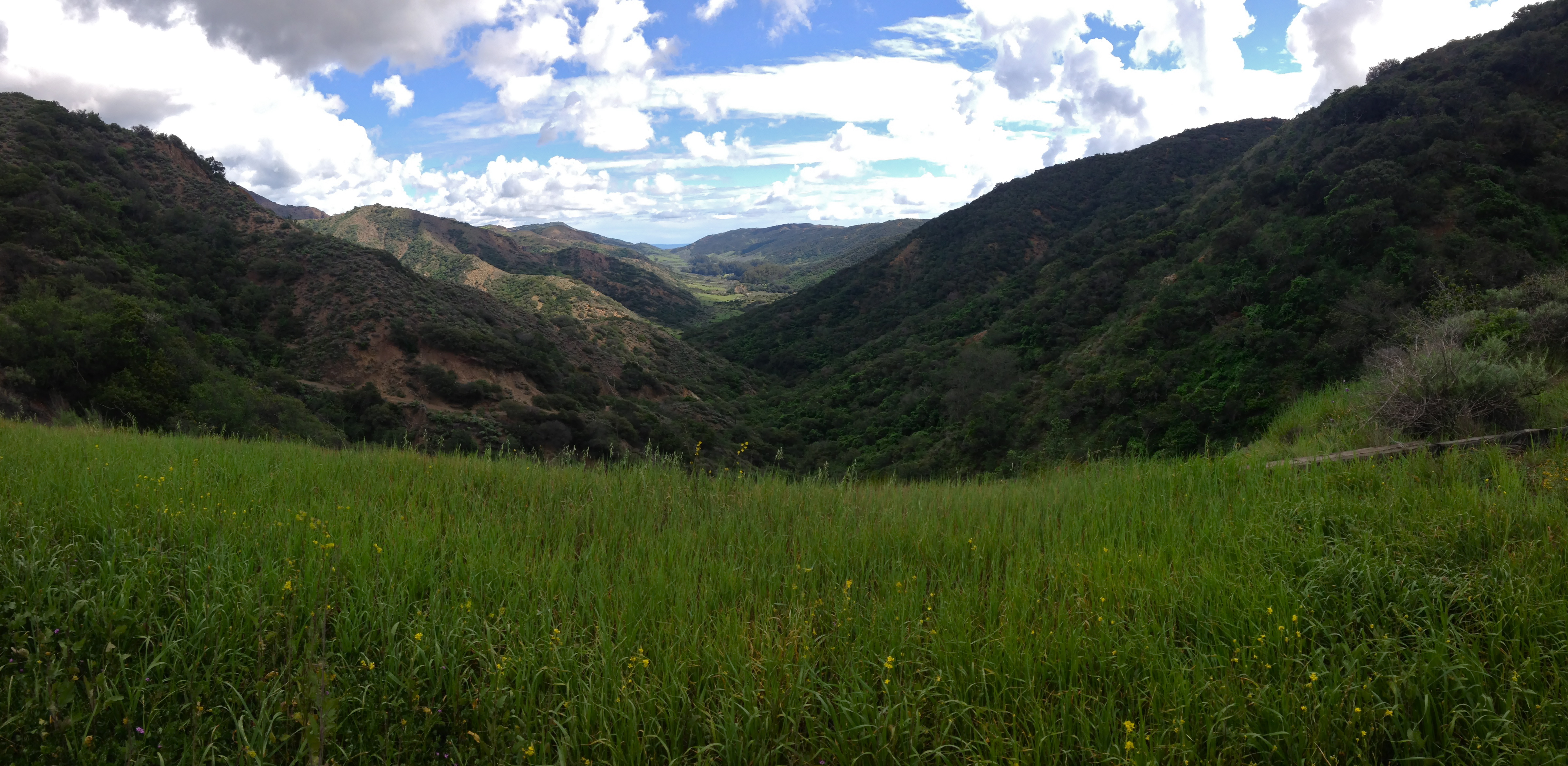 Central valley of Santa Cruz Island, looking from Portezula