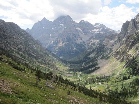 Alpine ecology and climate change