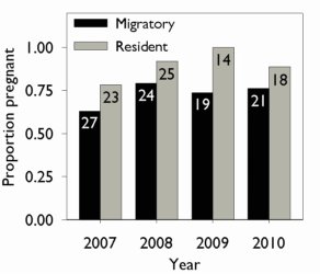 Pregnancy rate