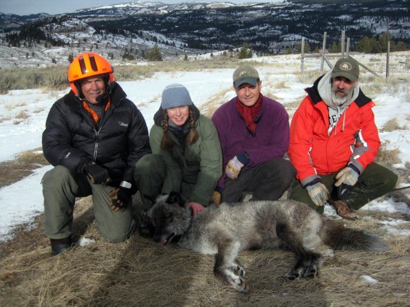 researchers with animal