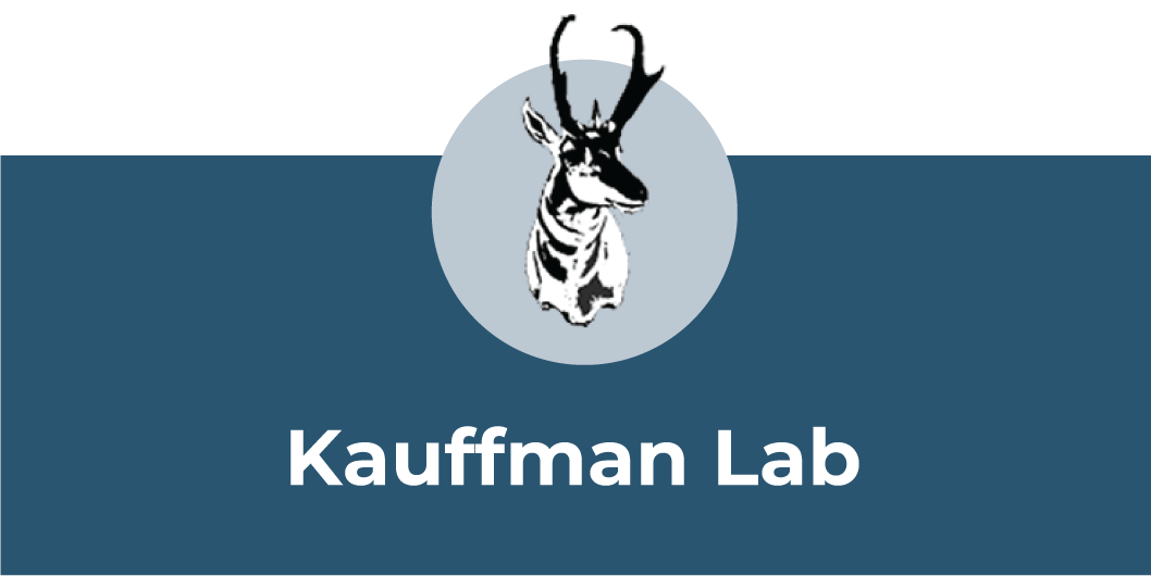 Kauffman Lab