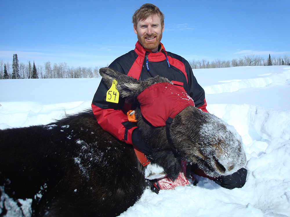 Brett Jesmer with moose