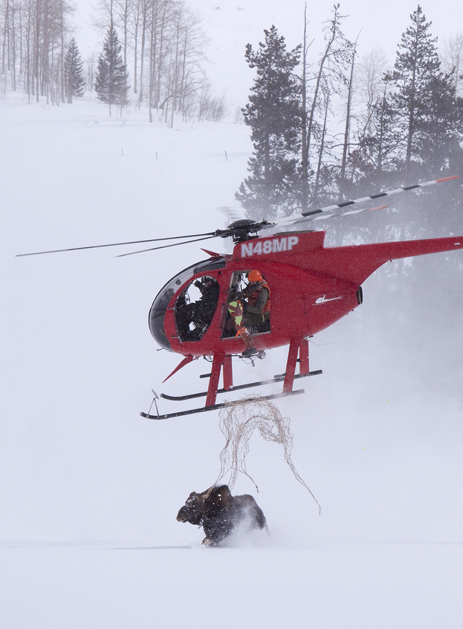 helicopter with net