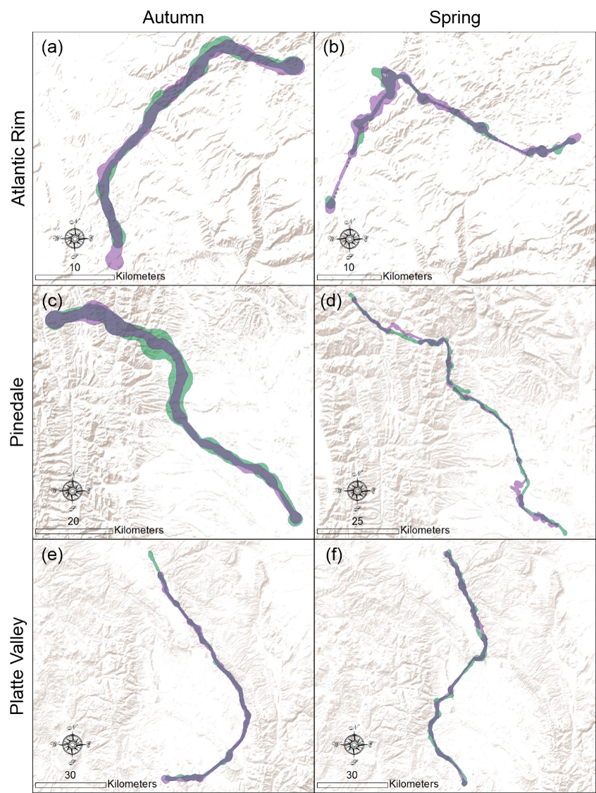 Autumn and Spring differences map