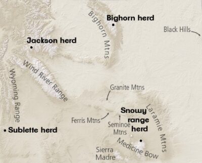 maps of herds