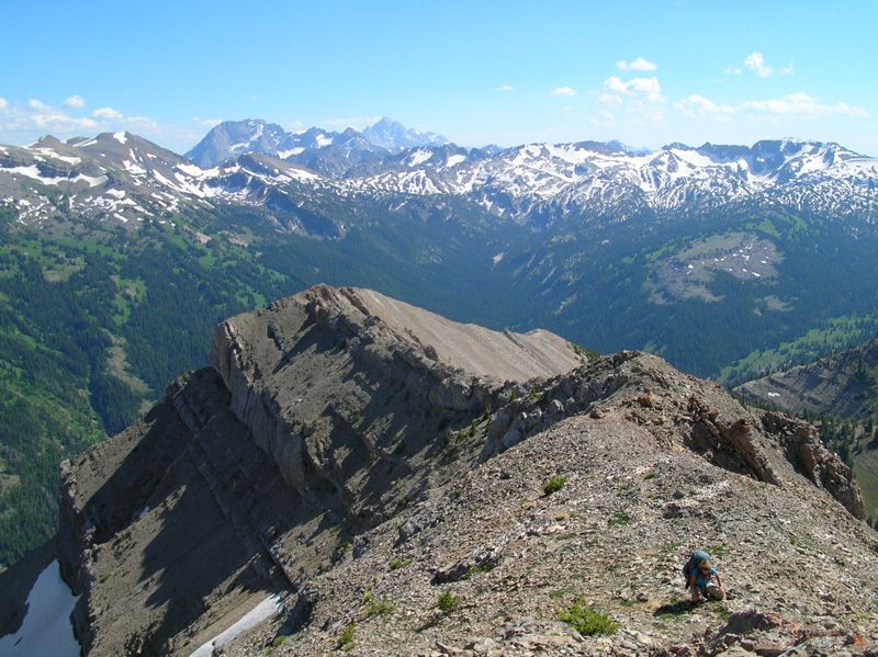 Field crews collected bighorn sheep fecal samples and conducted vegetation surveys during summers 2008, 2009, and 2010 to compare diet selection and forage availability on summer range.