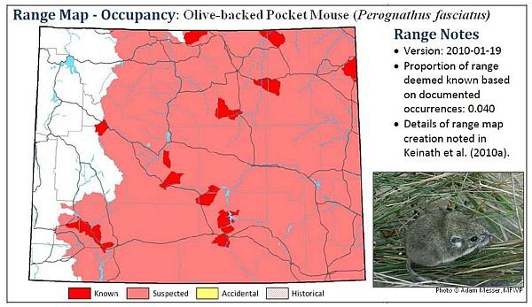 To accurately capture where SGCN (species of greatest conservation need) occur in Wyoming, we first developed range maps. Drainages in these maps were evaluated based on whether the species was known to occur there (based on documented observations) or suspected to occur there (based on expert opinion).