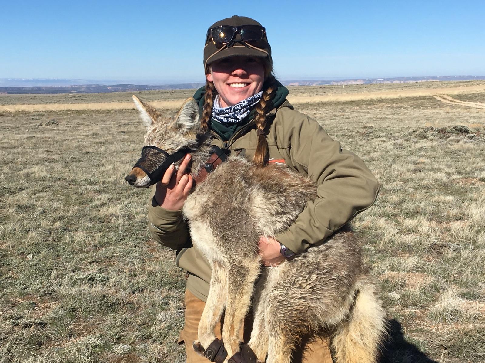 Katey Huggler with a coyote