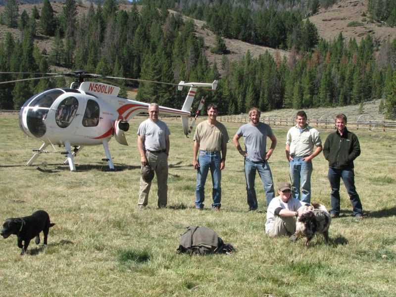 It also involved collaborators from several other institutions, some of whom are pictured here during elk capture operations in September 2009.