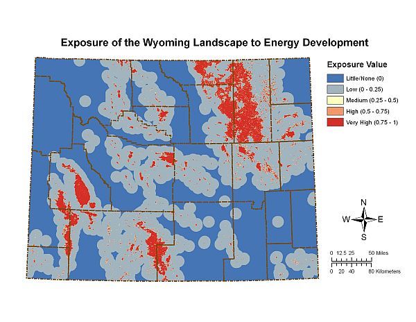 Exposure Index: To assess the prevalence of energy development on the landscape, we obtained existing development information from the Wyoming Oil and Gas Conservation Commission and extrapolated trends into the future based on Bureau of Land Management Reasonable and Foreseeable Development Scenarios. All pixels in the state were scored on a zero to one scale (low to high exposure) based on their proximity to development.