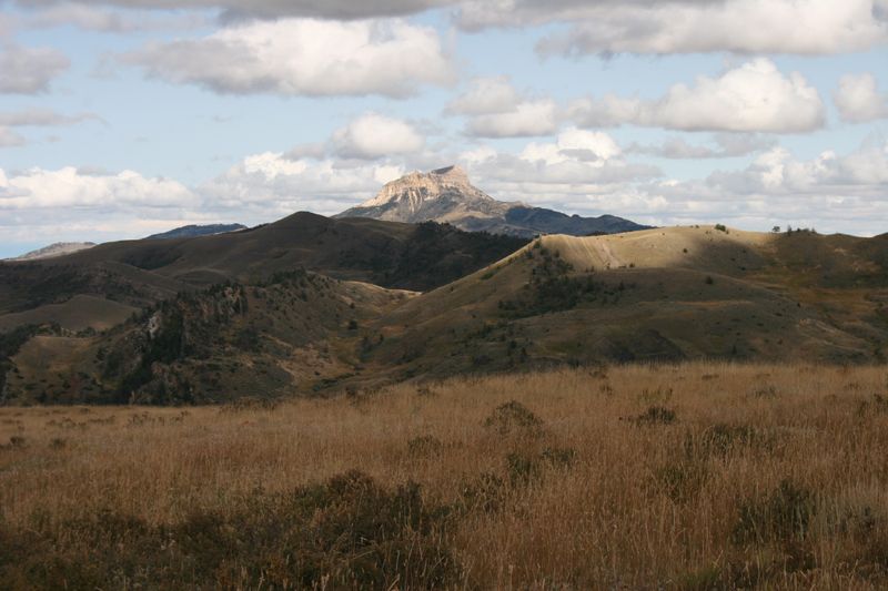 In contrast, on the year-round range of nonmigratory elk, we can detect no changes in patterns of green-up. Many nonmigratory elk in this area also have access to irrigated fields. Heart Mountain, near Cody, is pictured here. In contrast, on the year-round range of nonmigratory elk, we can detect no changes in patterns of green-up. Many nonmigratory elk in this area also have access to irrigated fields. Heart Mountain, near Cody, is pictured here.