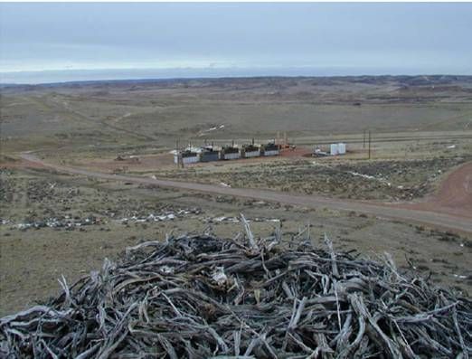 Raptor nest with energy development in the background. Photo courtesy of blm.gov
