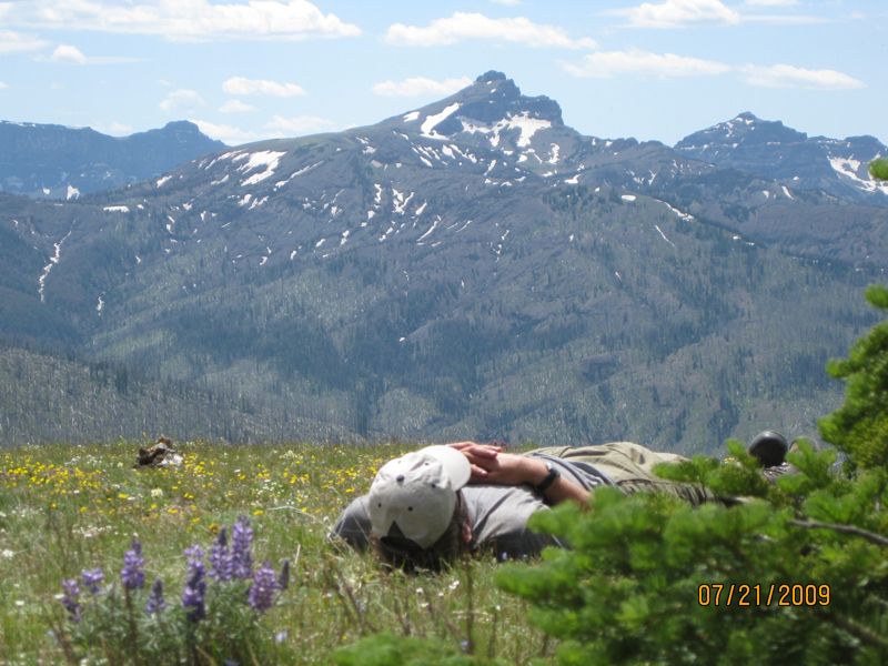 Sometimes, after all that field work, a nap is necessary. This one was especially good.