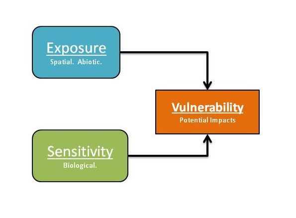 A species’ vulnerability to disturbance, or the extent to which populations may be impacted by disturbance, is a function of exposure (i.e. the extent to which the species habitat is altered) and sensitivity (i.e., whether the species responds negatively to habitat alteration). The AWVED project seeks to rank Wyoming species relative to both these factors.