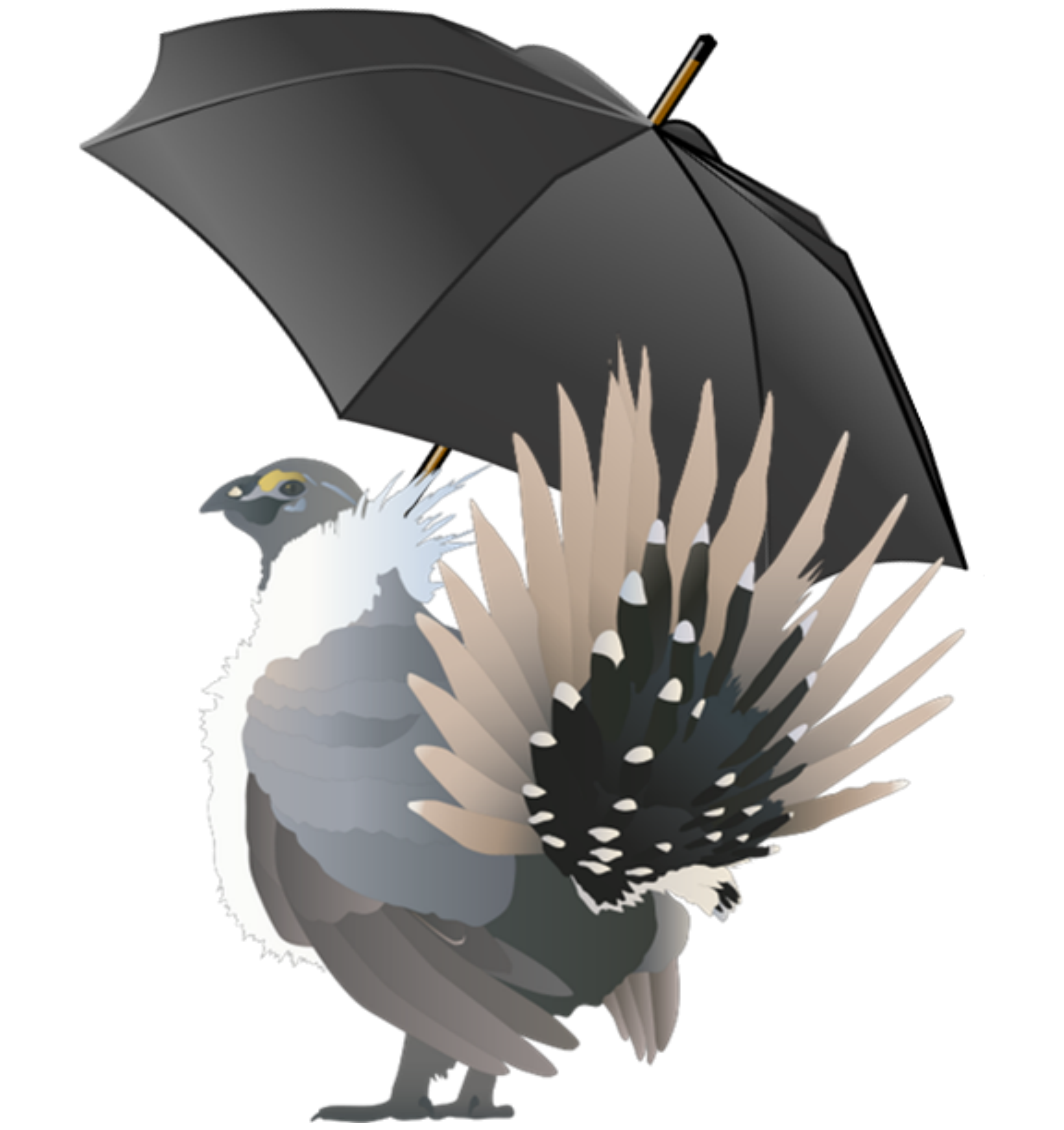 sage-grouse umbrella